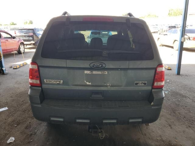 2010 Ford Escape XLT