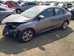 Ford salvage cars for sale: 2014 Ford Focus SE