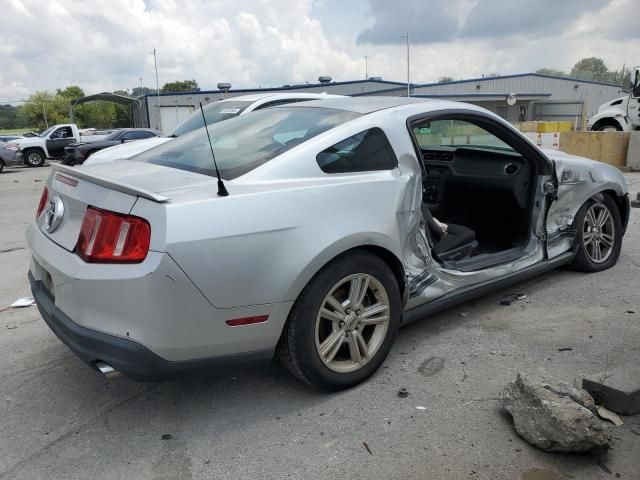 2010 Ford Mustang