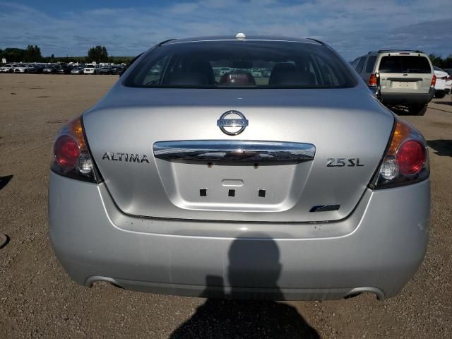 2010 Nissan Altima Base