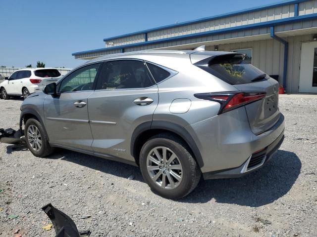 2019 Lexus NX 300H