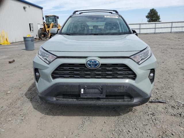 2019 Toyota Rav4 XLE