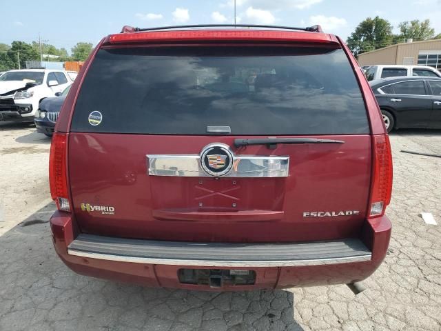 2009 Cadillac Escalade Hybrid