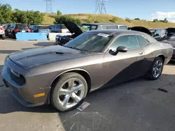 Salvage cars for sale at Littleton, CO auction: 2013 Dodge Challenger SXT