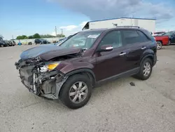 Salvage cars for sale at Tucson, AZ auction: 2013 KIA Sorento LX