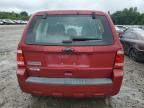 2011 Ford Escape XLS