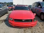 2006 Ford Mustang