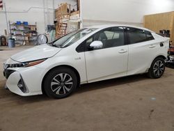 Toyota salvage cars for sale: 2019 Toyota Prius Prime