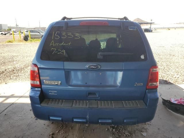 2010 Ford Escape XLT