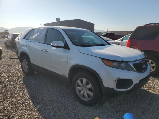 2011 KIA Sorento Base