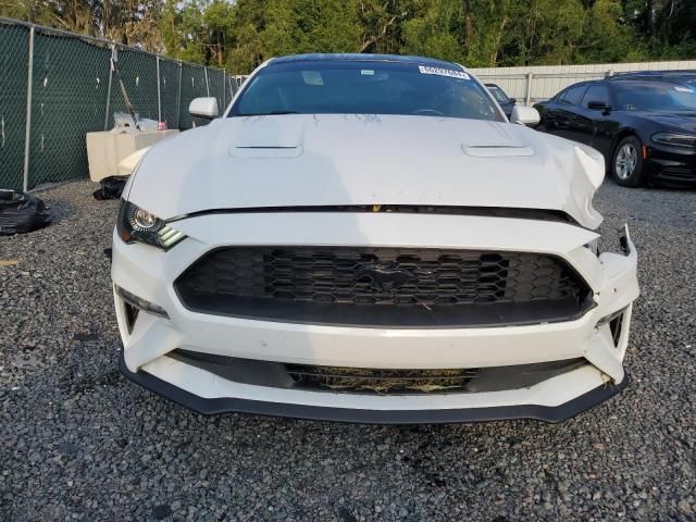 2019 Ford Mustang