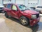 2008 Chevrolet Trailblazer LS