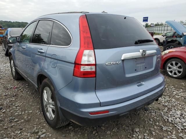 2010 Honda CR-V EXL