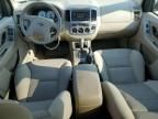 2005 Ford Escape XLT