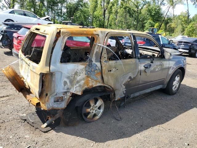 2010 Ford Escape Limited