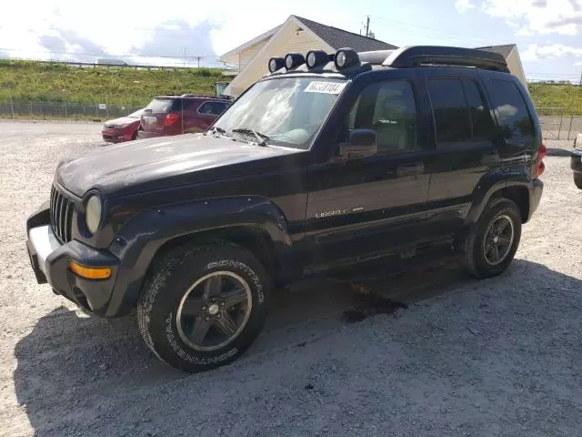 2003 Jeep Liberty Renegade