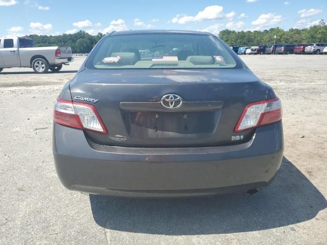 2009 Toyota Camry Hybrid