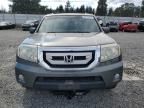 2009 Honda Pilot EXL