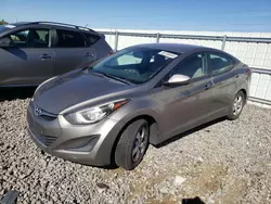 Salvage cars for sale at Reno, NV auction: 2014 Hyundai Elantra SE