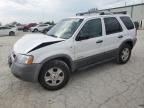 2002 Ford Escape XLT