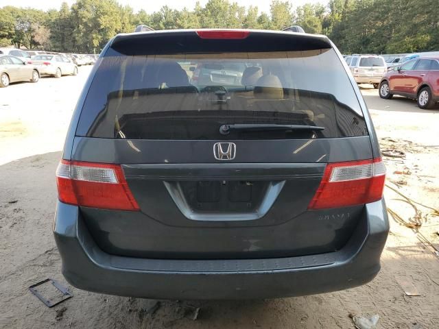 2005 Honda Odyssey EXL