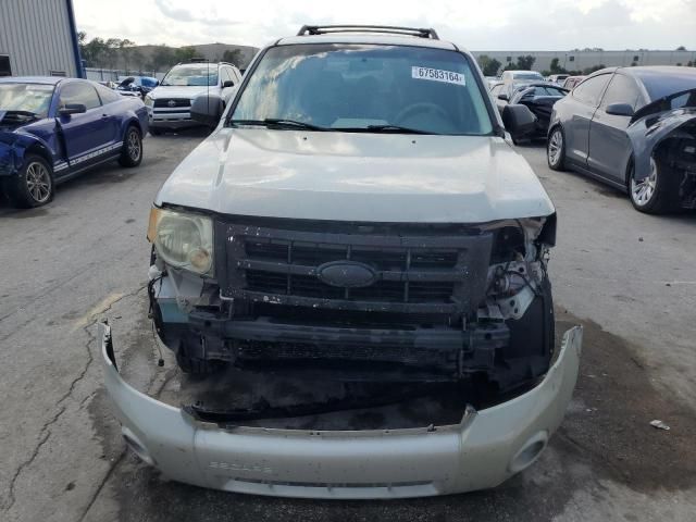 2008 Ford Escape XLT