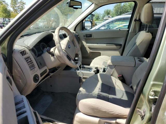 2008 Ford Escape XLT