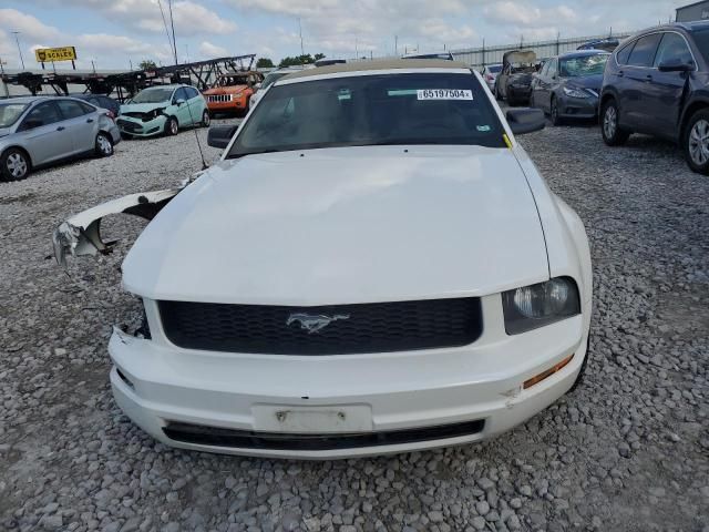 2005 Ford Mustang