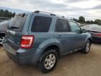 2010 Ford Escape Limited