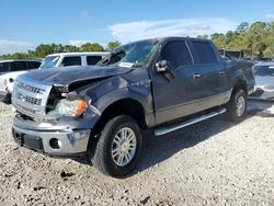 Ford salvage cars for sale: 2013 Ford F150 Supercrew