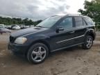 2008 Mercedes-Benz ML 350