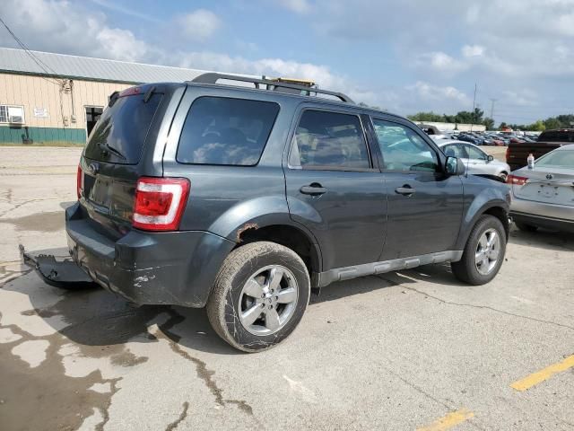 2009 Ford Escape XLT