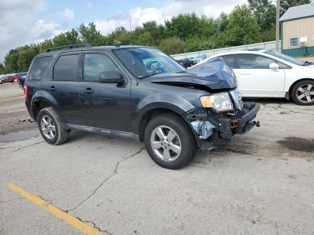 2009 Ford Escape XLT