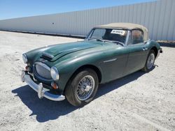 Buy Salvage Cars For Sale now at auction: 1967 Austin Healy