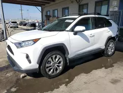 Toyota rav4 xle Premium salvage cars for sale: 2020 Toyota Rav4 XLE Premium