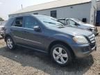 2010 Mercedes-Benz ML 350 4matic