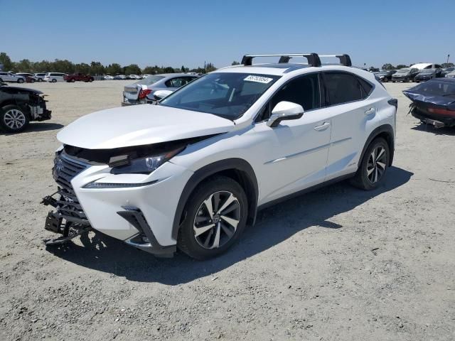 2021 Lexus NX 300H Base