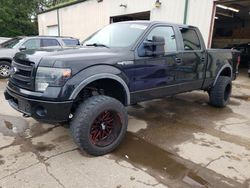 Salvage cars for sale at Ham Lake, MN auction: 2013 Ford F150 Supercrew