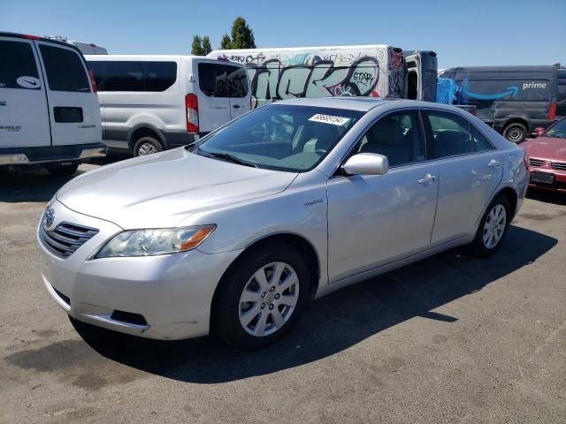 2008 Toyota Camry Hybrid