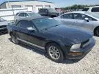 2005 Ford Mustang