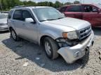 2010 Ford Escape Limited