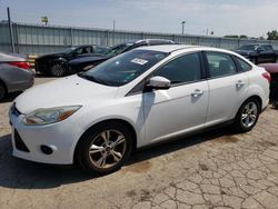 Salvage cars for sale at Dyer, IN auction: 2014 Ford Focus SE