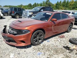 Salvage cars for sale at Memphis, TN auction: 2022 Dodge Charger R/T