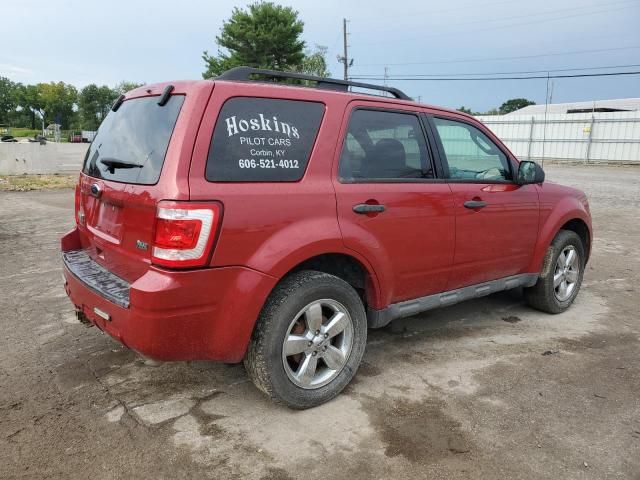 2010 Ford Escape XLT