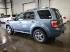 2010 Ford Escape Limited