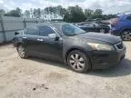 2010 Honda Accord EX