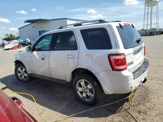 2010 Ford Escape Limited