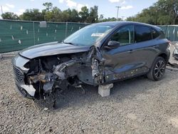 Salvage cars for sale at Riverview, FL auction: 2021 Ford Escape SE