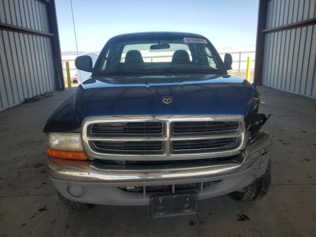 2000 Dodge Dakota