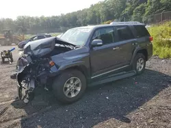 Salvage SUVs for sale at auction: 2010 Toyota 4runner SR5